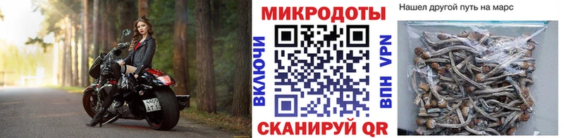 Галлюциногенные грибы мухоморы  Ставрополь 